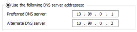 File:Set DNS Server Addresses.png